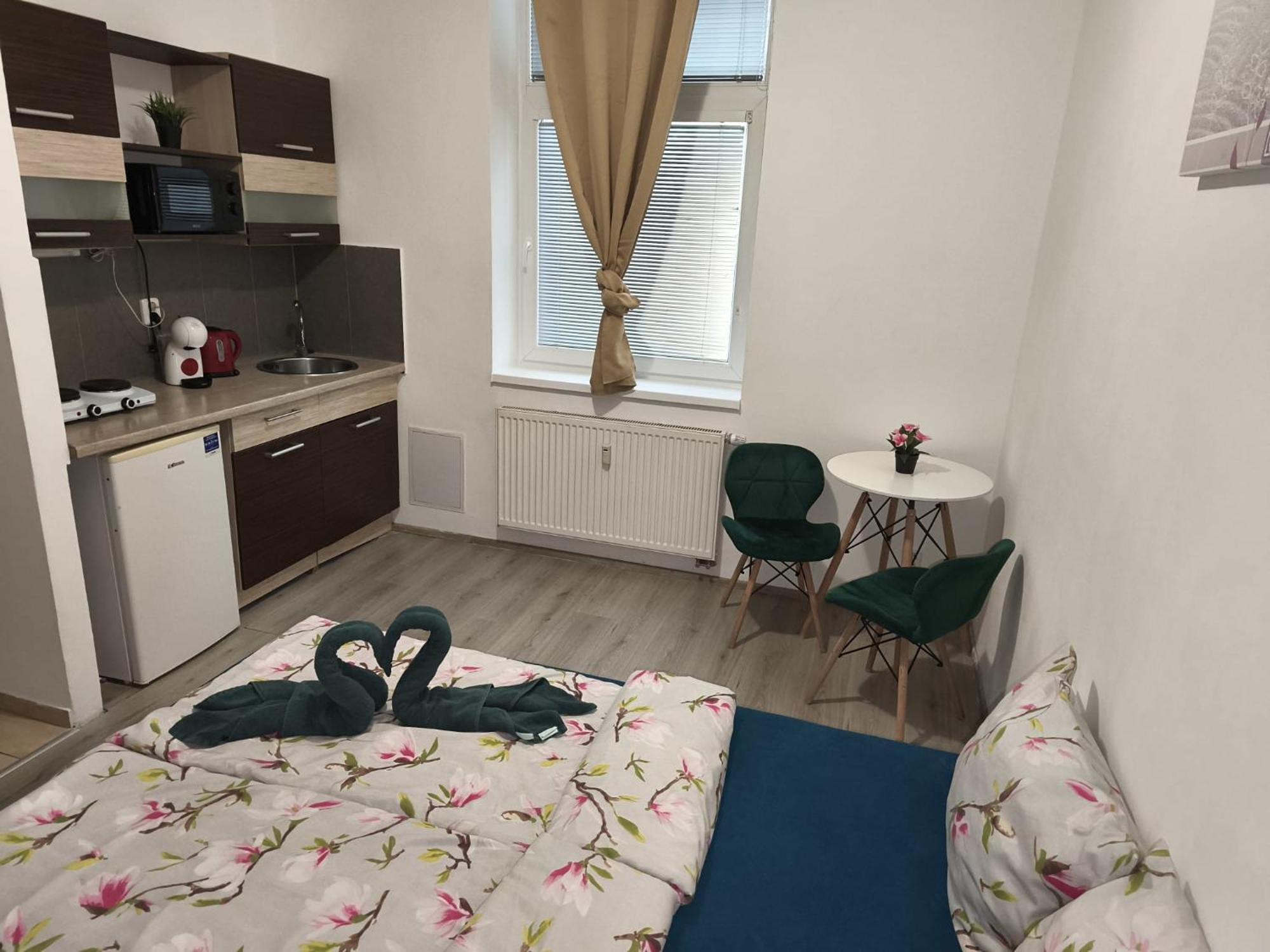 Apartia Krenova, Brno-Center ภายนอก รูปภาพ